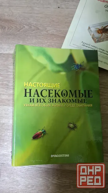 Коллекция насекомых в смоле новые Донецк - изображение 1