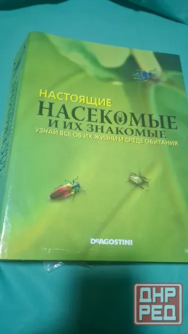 Коллекция насекомых в смоле новые Донецк - изображение 2