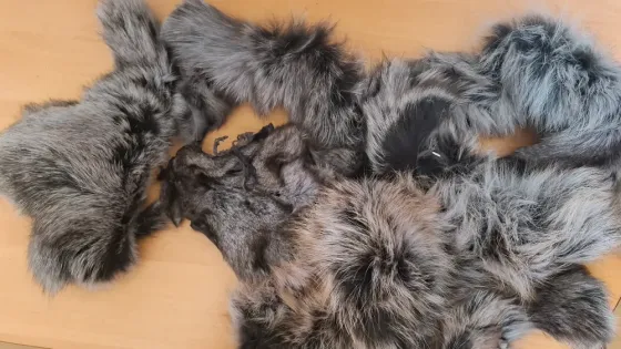 Мех натуральный и кусочки кожи Донецк