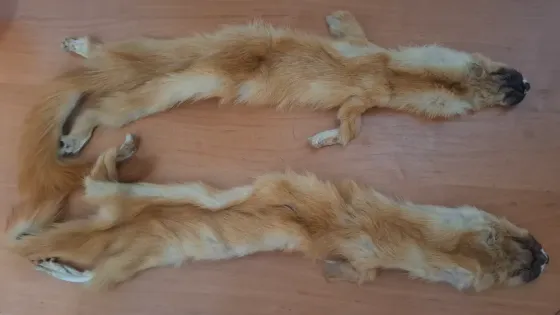 Мех натуральный и кусочки кожи Донецк