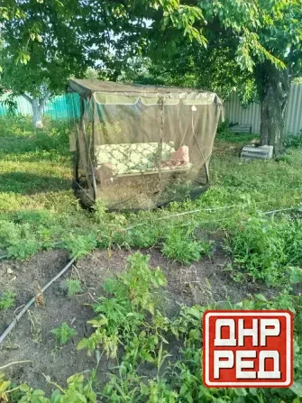 дом 3 к 70 м2 1\1 макеевка горняцкий рн ор-р 53 кврт 2.1 млн Макеевка - изображение 1
