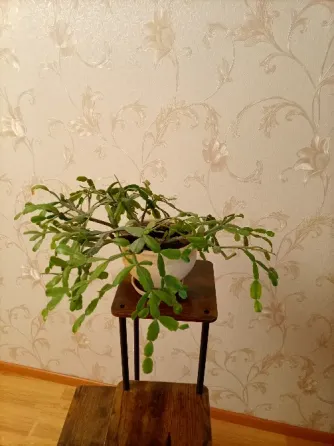 Шлюмбергера Донецк