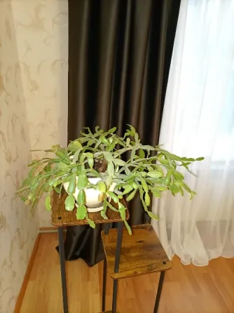 Шлюмбергера Донецк