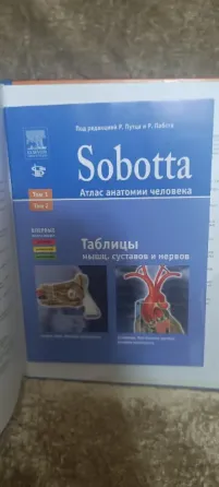 Атлас анатомии Sobotta 2 том Донецк