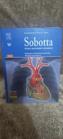 Атлас анатомии Sobotta 2 том Донецк