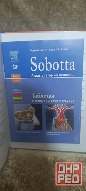 Атлас анатомии Sobotta 2 том Донецк - изображение 3