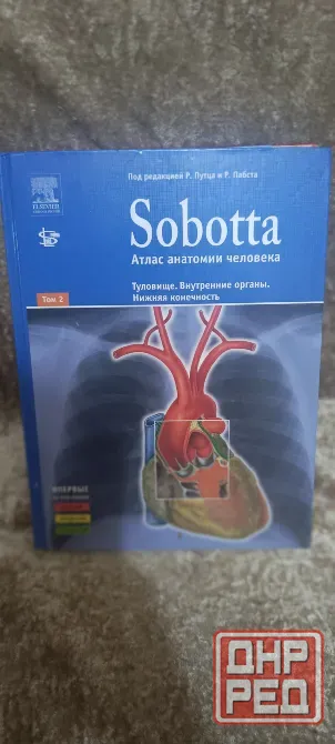 Атлас анатомии Sobotta 2 том Донецк - изображение 1