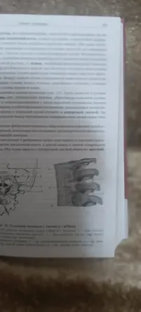 Учебник Анатомии человека Привес Донецк