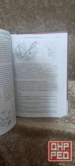 Учебник Анатомии человека Привес Донецк - изображение 2
