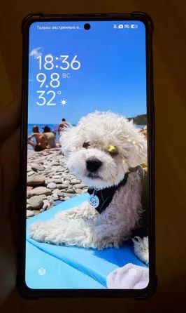 Продам Poco M6 pro 12/512 Донецк