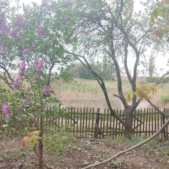 Дом с.Светлое (Новый Свет) Старобешево
