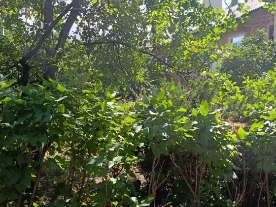 Продажа 3х. комн . квартира с гаражом, Куйбышевский , дк Куйбышева Донецк