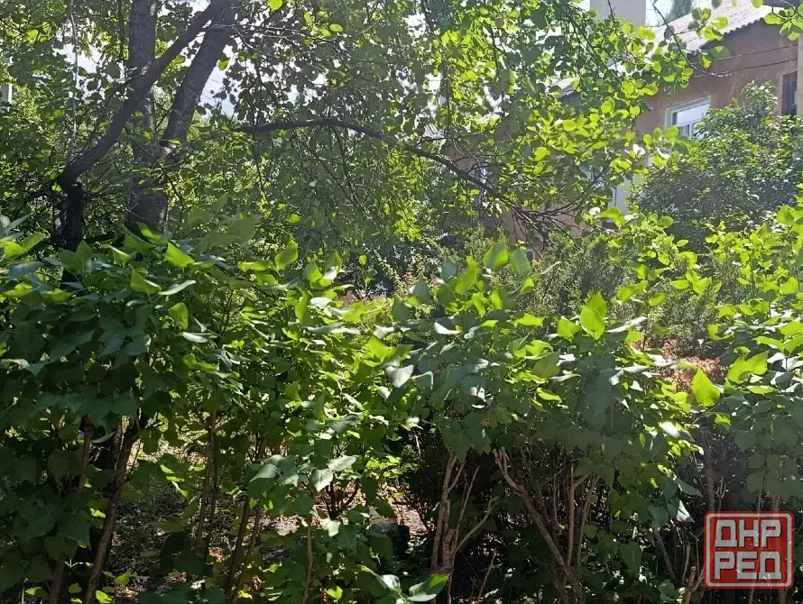 Продажа 3х. комн . квартира с гаражом, Куйбышевский , дк Куйбышева Донецк - изображение 2