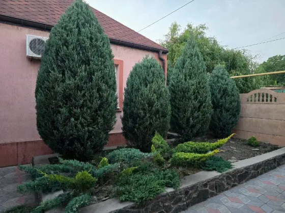 Топиарная стрижка Волноваха