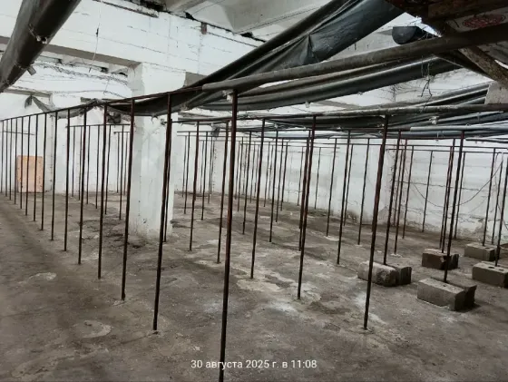 Аренда Готового Грибного Бизнеса, 360м.кв., ул. Баумана Донецк