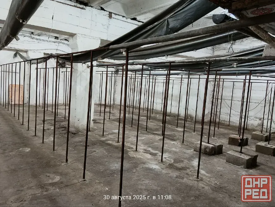 Аренда Готового Грибного Бизнеса, 360м.кв., ул. Баумана Донецк - изображение 5