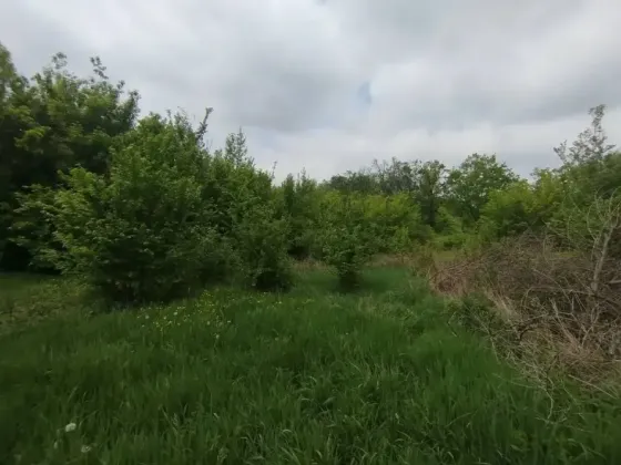 Продается земельный участок 10 соток Центрально-городской район Макеевки (Собственник) Макеевка