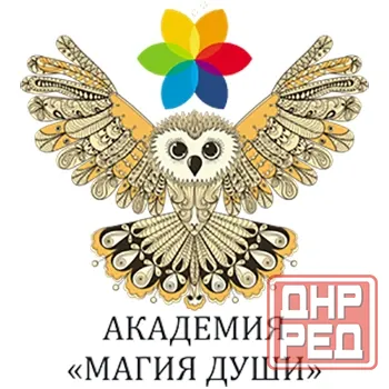 Курс путь мага Москва - изображение 1