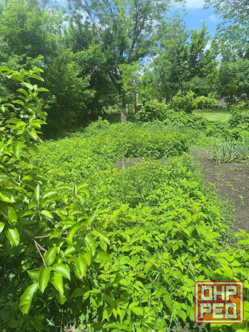 Продам участок с небольшим домом в Кировском районе Донецк - изображение 5