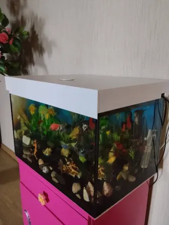 Аквариум Донецк