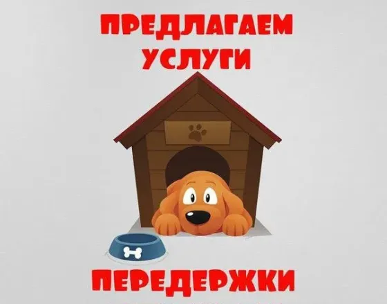 Домашняя передержка для животных Донецк