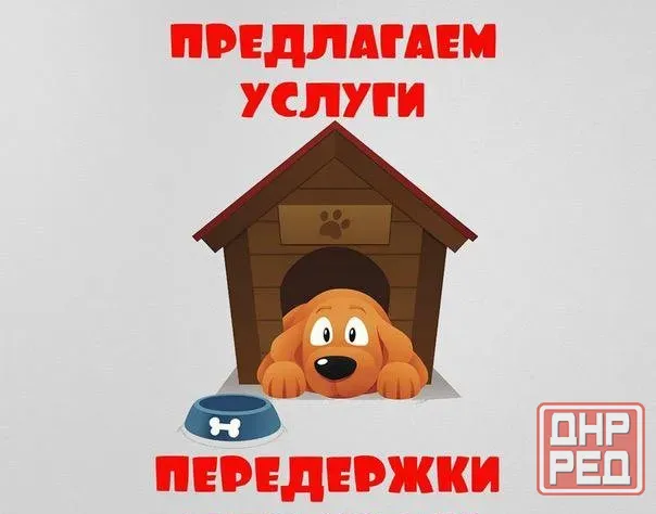 Домашняя передержка для животных Донецк - изображение 1