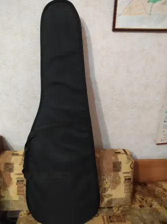 Чехол для электрогитары Донецк