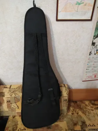 Чехол для электрогитары Донецк