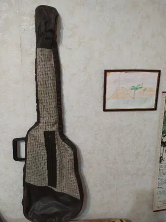Чехол для басс гитары Донецк