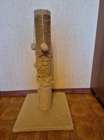 Отдам когтеточку Донецк