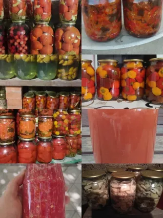 Домашняя закупорка Донецк