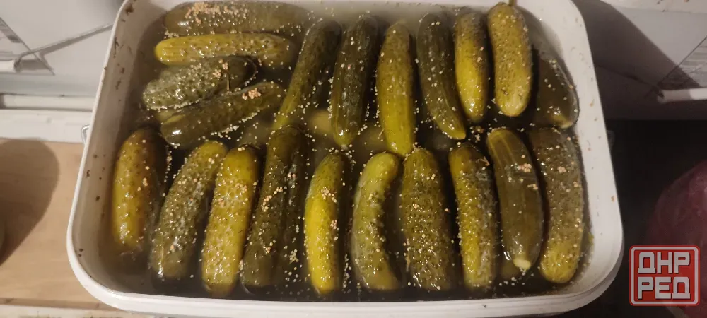 Домашняя закупорка Донецк - изображение 8