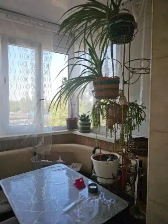 Аренда 2х комнатной квартиры автостанция Плеханова центр города Макеевка