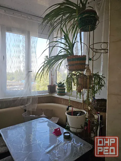 Аренда 2х комнатной квартиры автостанция Плеханова центр города Макеевка - изображение 5