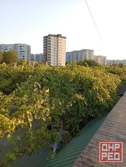 Продам гараж Спринтер Мариуполь - изображение 8