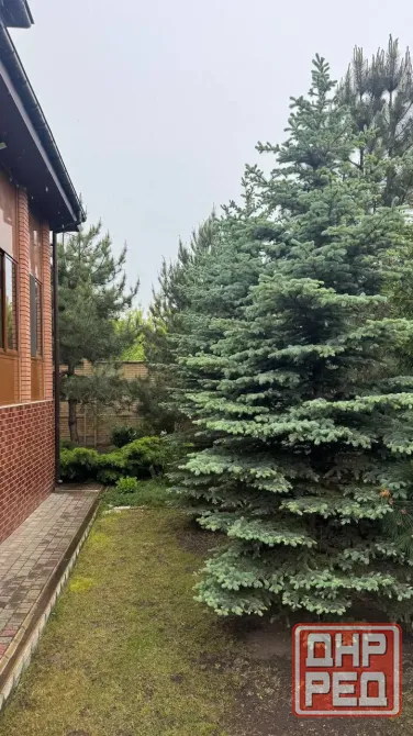 Дом одноэтажный. 347м2. Макшоссе. Донецк - изображение 9
