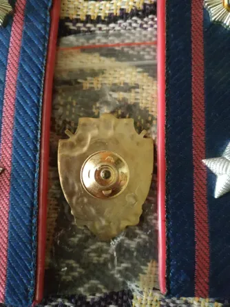Знак,значок,погоны Донецк