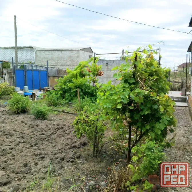 Продам дом у моря Мариуполь - изображение 2