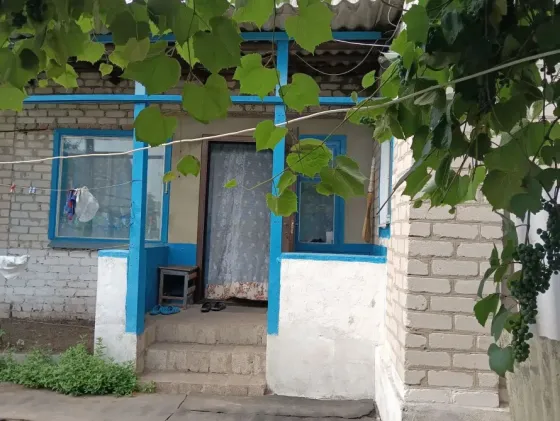 Продам дом просторный дом с.Ближнее Волноваха