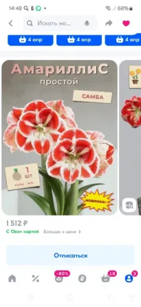 Продам гипеаструмы Донецк