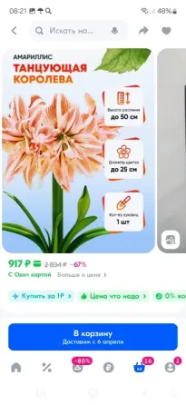 Продам гипеаструмы Донецк
