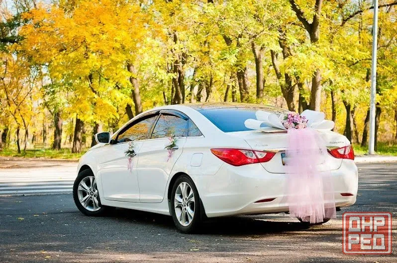 Аренда Авто На Свадьбу Соната от 700р./час (Hyundai Sonata Панорама) Мариуполь - изображение 7