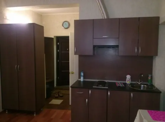 Сдам эконом 1к. квартиру на Боссе, Ленинский Донецк
