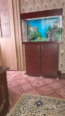 Аквариум с тумбой Донецк