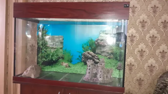 Аквариум с тумбой Донецк