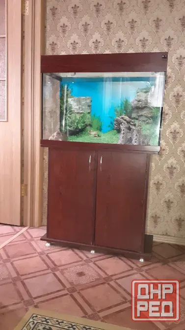 Аквариум с тумбой Донецк - изображение 1