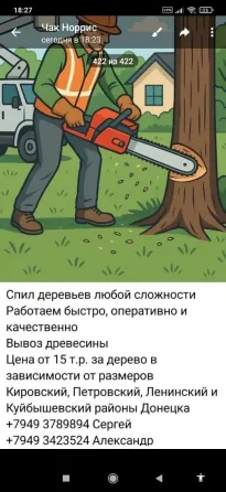 Безопасный спил и валка деревьев любой сложности. Донецк