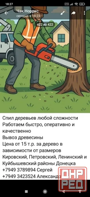 Безопасный спил и валка деревьев любой сложности. Донецк - изображение 1