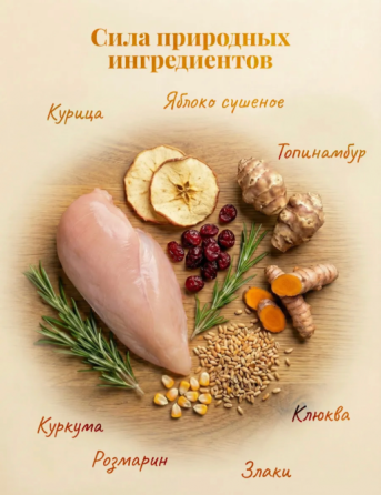 Продам корм для собак средних пород Макеевка