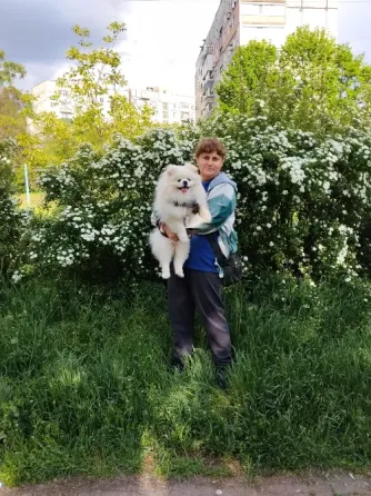 красавчик на вязку , шпиц 8кг Донецк